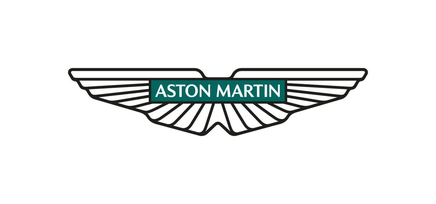 Aston Martin Leather Repair Paint