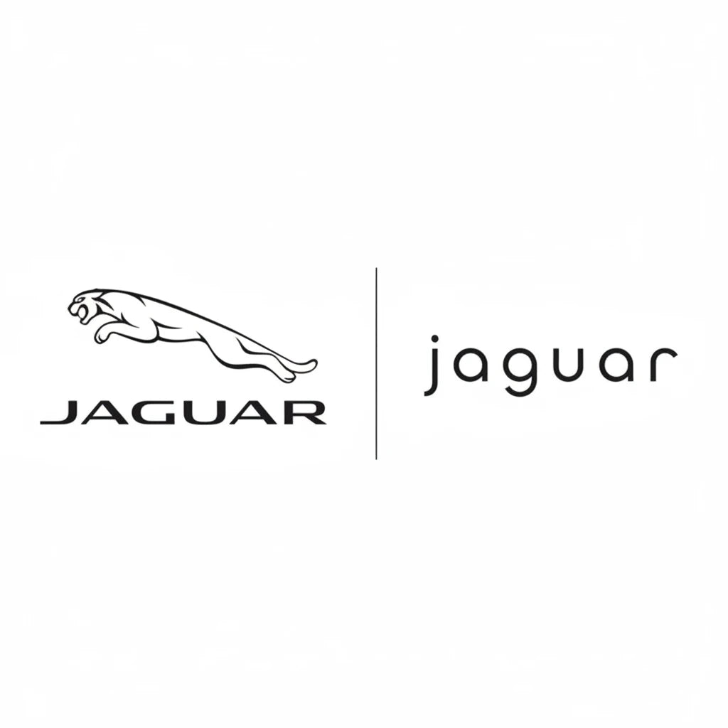 Peinture de réparation de cuir Jaguar (format étendu)
