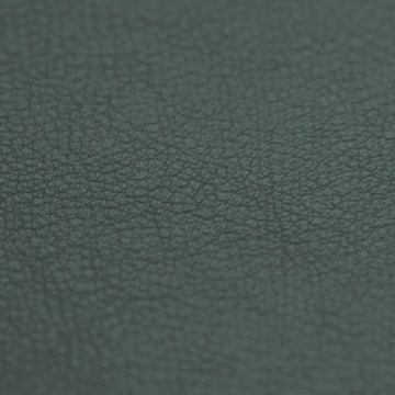 Vaumol Leather Repair Paint – Suede Green (VM 3510)