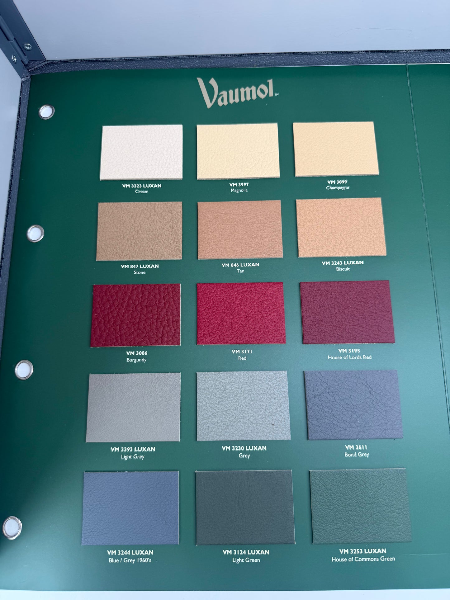 Vaumol Leather Repair Paint – Pillar Box Red (VM 8300)