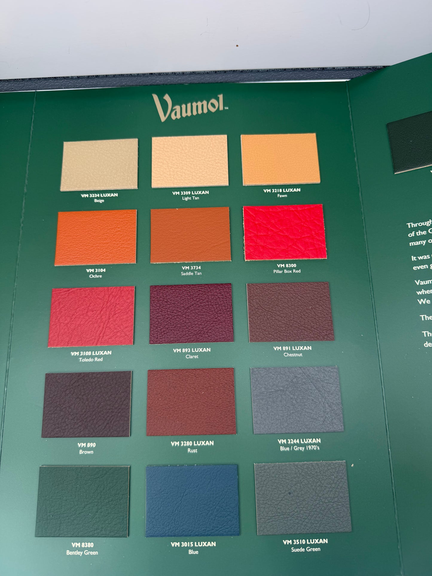 Vaumol Leather Repair Paint – Pillar Box Red (VM 8300)