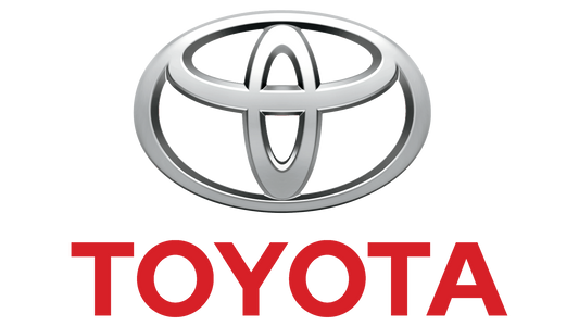 Toyota Leather Repair Paint