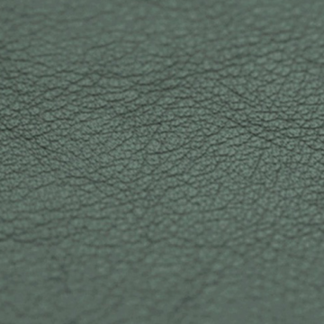 Vaumol Leather Repair Paint – Light Green (VM 3124)