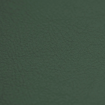 Vaumol Leather Repair Paint – House of Commons Green (VM 3253)