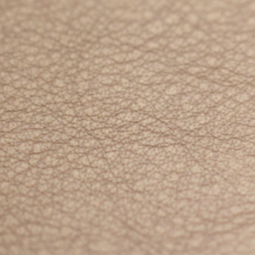 Vaumol Leather Repair Paint – Light Tan (VM 3309)
