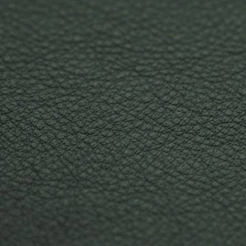 Vaumol Leather Repair Paint – Green (VM 3635)