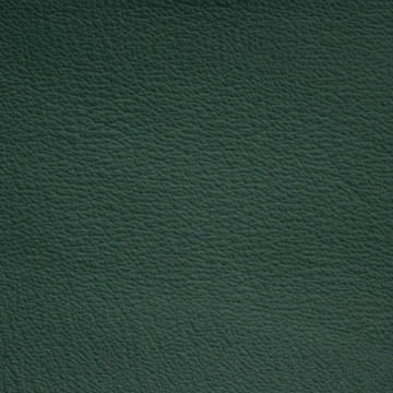 Vaumol Leather Repair Paint – Bentley Green (VM 8380)