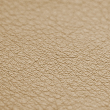 Vaumol Leather Repair Paint – Champagne (VM 3099)