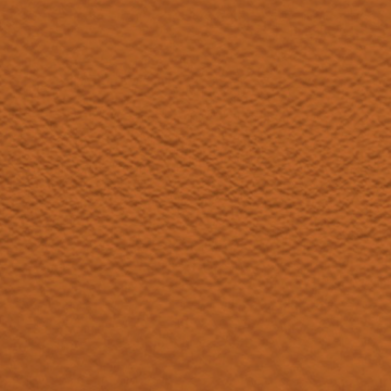 Vaumol Leather Repair Paint – Ochre (VM 3104)