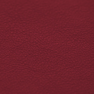 Vaumol Leather Repair Paint – Red (VM 3171)